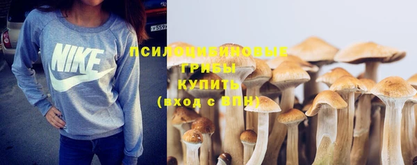 стафф Абдулино