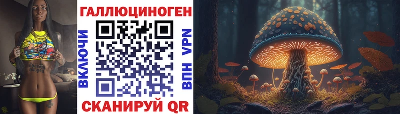 Галлюциногенные грибы Psilocybine cubensis  Орск 