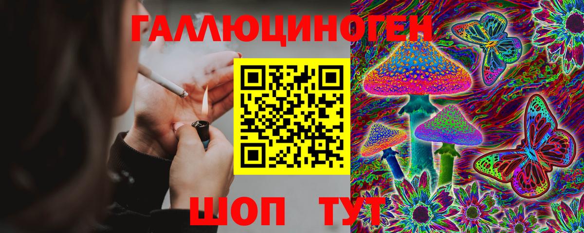 Орск  Псилоцибиновые грибы прущие грибы  Вход с VPN 