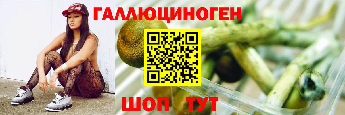 Галлюциногенные грибы GOLDEN TEACHER Орск